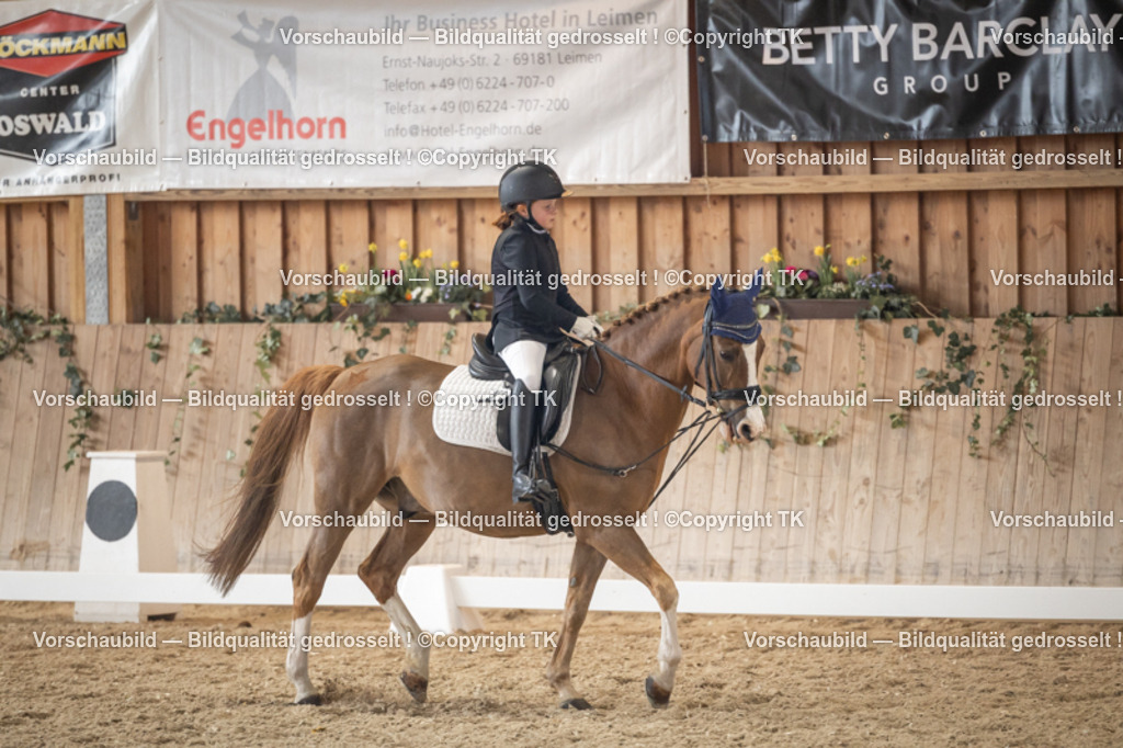 _D5A5746 | Emotionale Pferde- & People-Fotografie rund um Heidelberg, Leimen & Umgebung. Natürliche Fotos von Pferd, Mensch & Familie. Jetzt Termin sichern!