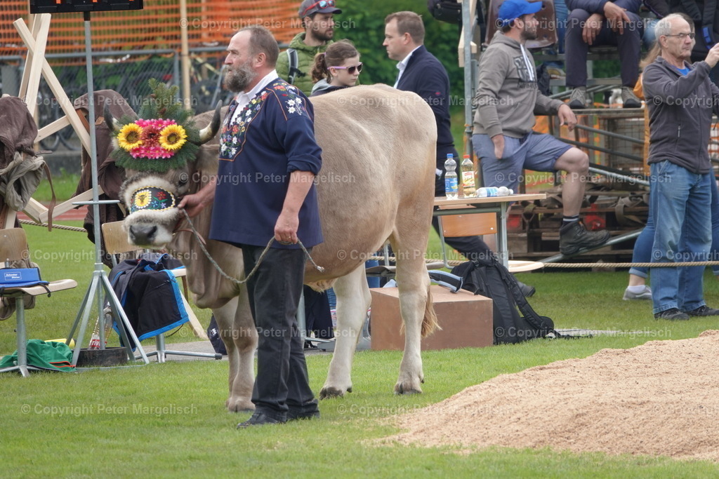 DSC04049 | Schwingen - Realisiert mit Pictrs.com