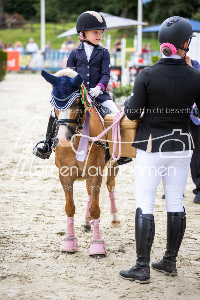 BHO-Führzügel2-028 | MomenTaufnahmen Pferdesportfotos