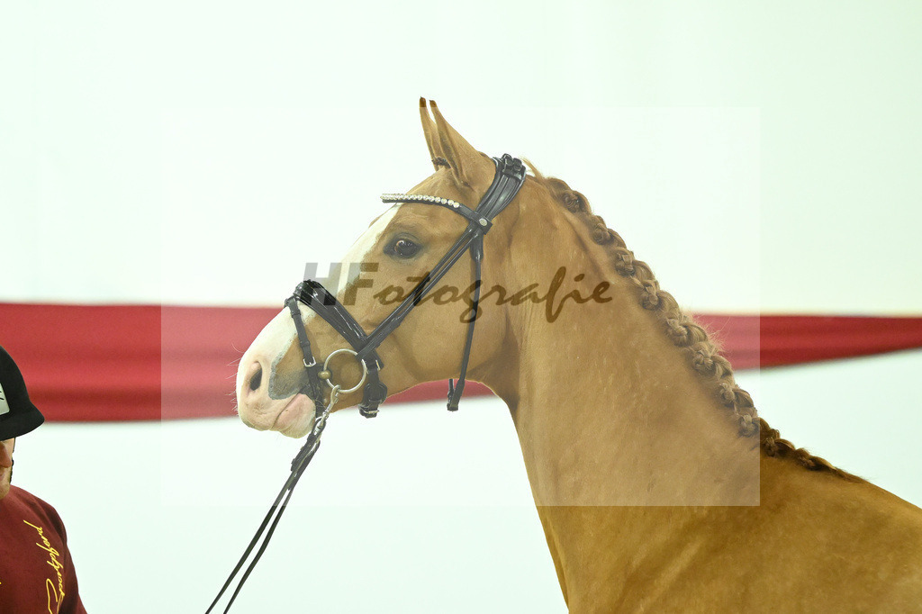 Kat-Nr. 10 v. Fuerst Samarant_Beckmann_63220008 | hf-fotografie - Realizzato con Pictrs.com