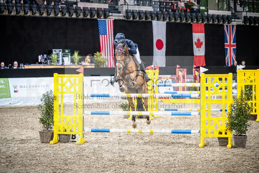 DOS_0355 | Entdecke hochwertige Reitturnierfotos von Foto Oger. Professionell, emotional und authentisch – jetzt Lieblingsmomente im Shop bestellen.Deutschlandweite Turnierfotografie. - Realisiert mit Pictrs.com