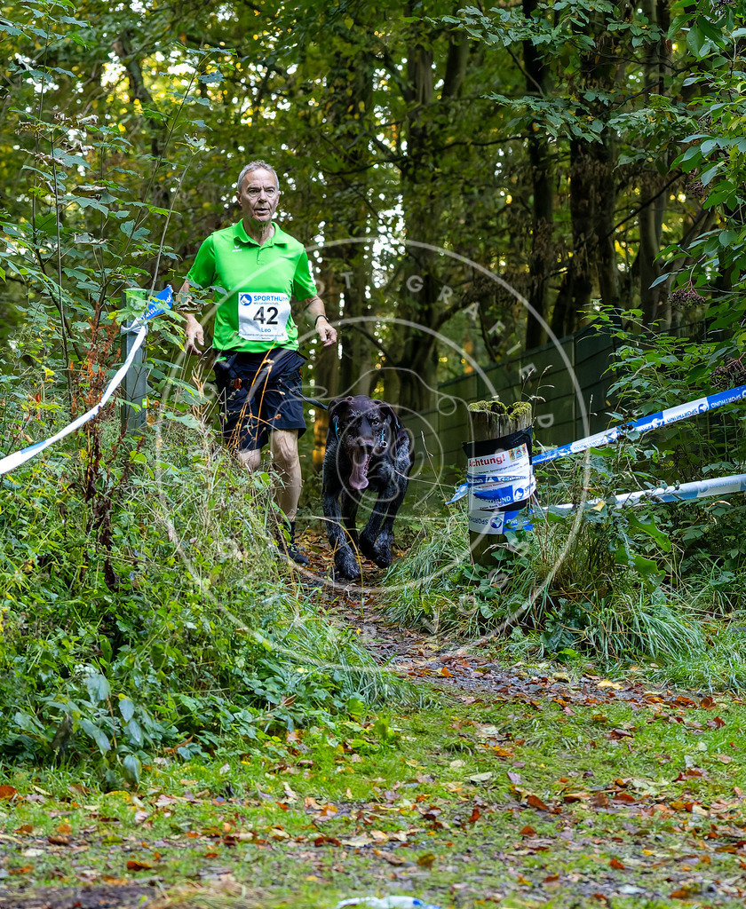 Pfotenfotografie_DV3A6828 | Hundefotografie, Tierfotograf, Pfotenfotografie, Fotoshooting Hund, Hunde Portrait, Hundesport, Hundeportraits, Heideshooting, Hunde, Sportfotograf, Hundefotograf, Turnierhundsport, THS,  - Realisiert mit Pictrs.com