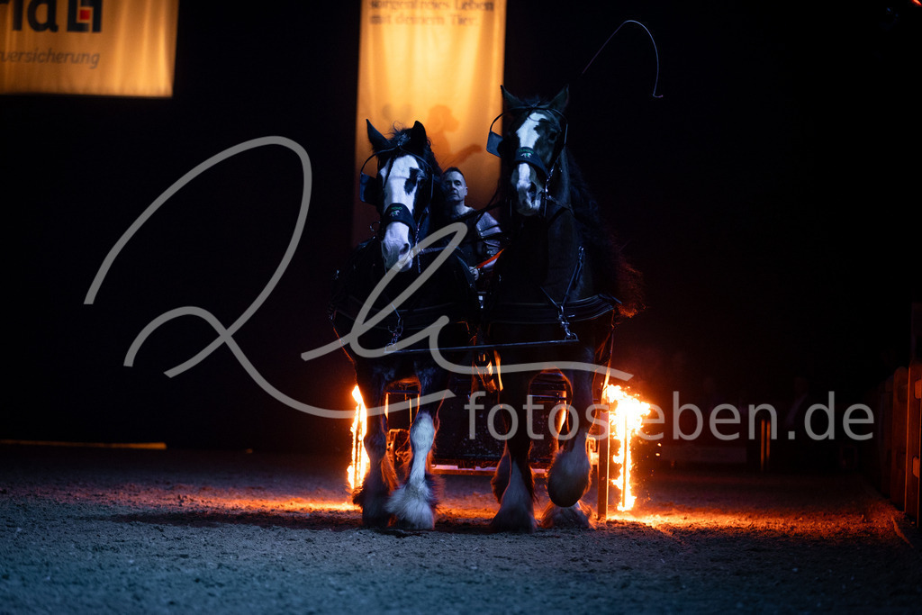 846A1103 | fotosleben - Realisiert mit Pictrs.com