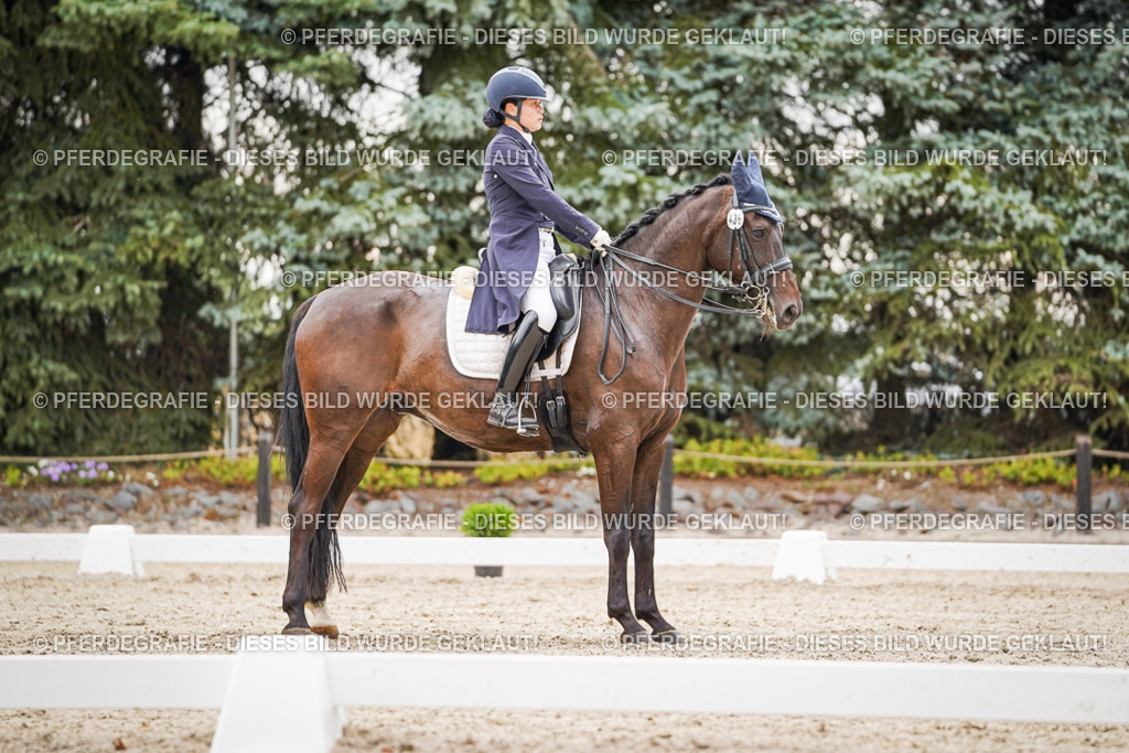 DSC07614 | Pferdegrafie