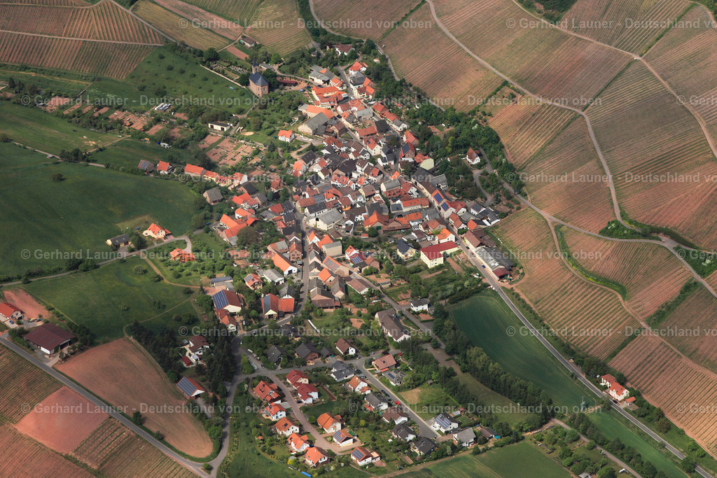 3107188 | Kirschroth