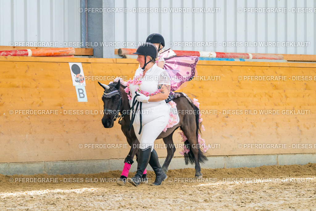 DSC00062 | Pferdegrafie