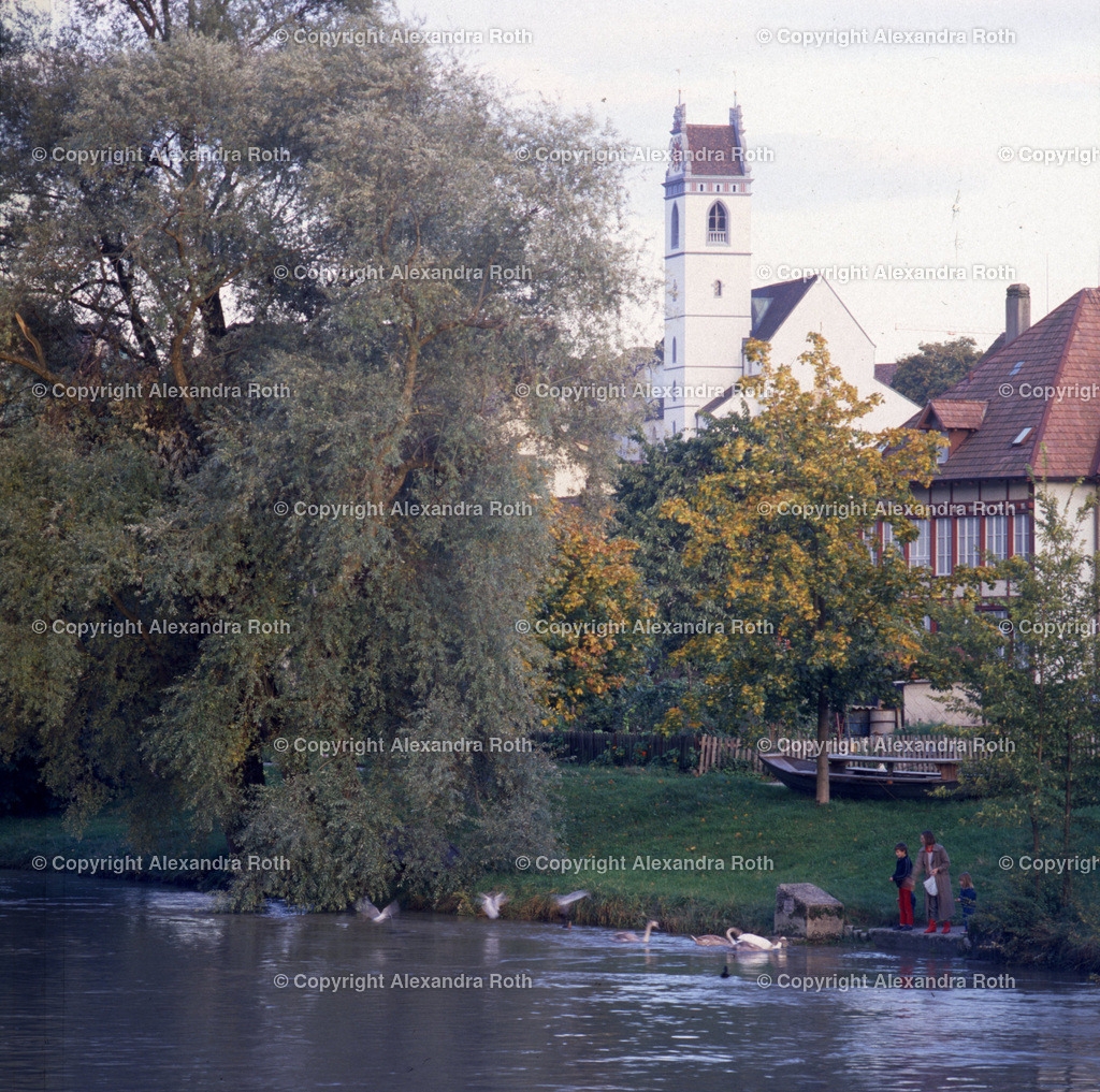 Aarau_0564 | onlineshop - Realisiert mit Pictrs.com