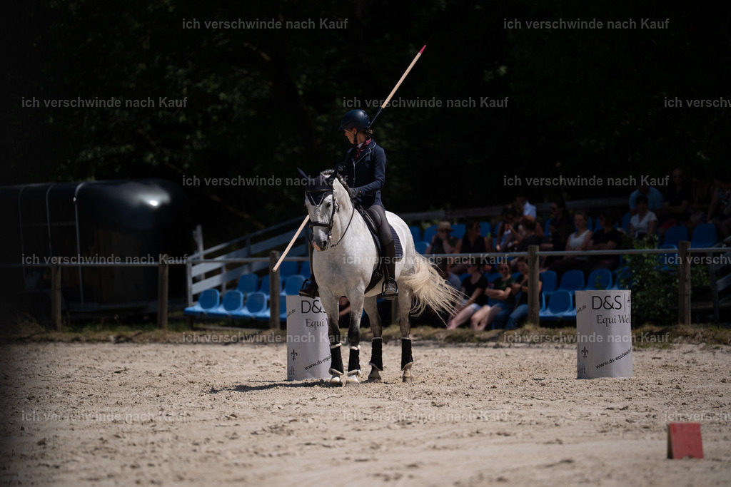 WS_ST_11_stoibphotography_SO11129 | working equitationturnier fotograf videograf stoibphotography marixx film working equitation deutschland reitsport turnierfotografie eventfotografie equestrian events