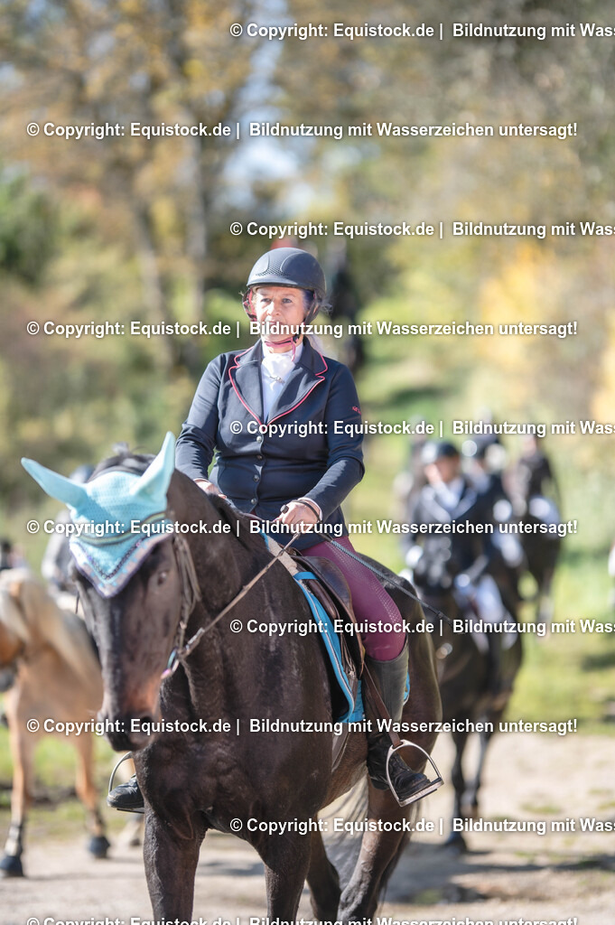 20251011_Jagd-Marbach_0475 | Foto: Thomas Hartig