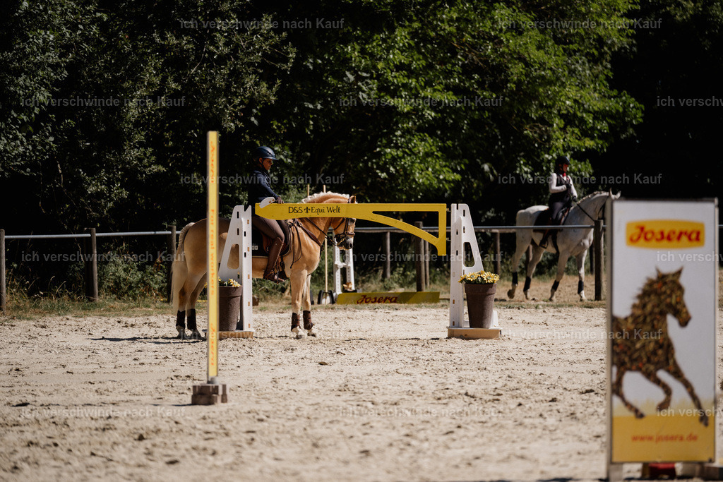 WS_ST_1_stoibphotography_SO10531 | working equitationturnier fotograf videograf stoibphotography marixx film working equitation deutschland reitsport turnierfotografie eventfotografie equestrian events