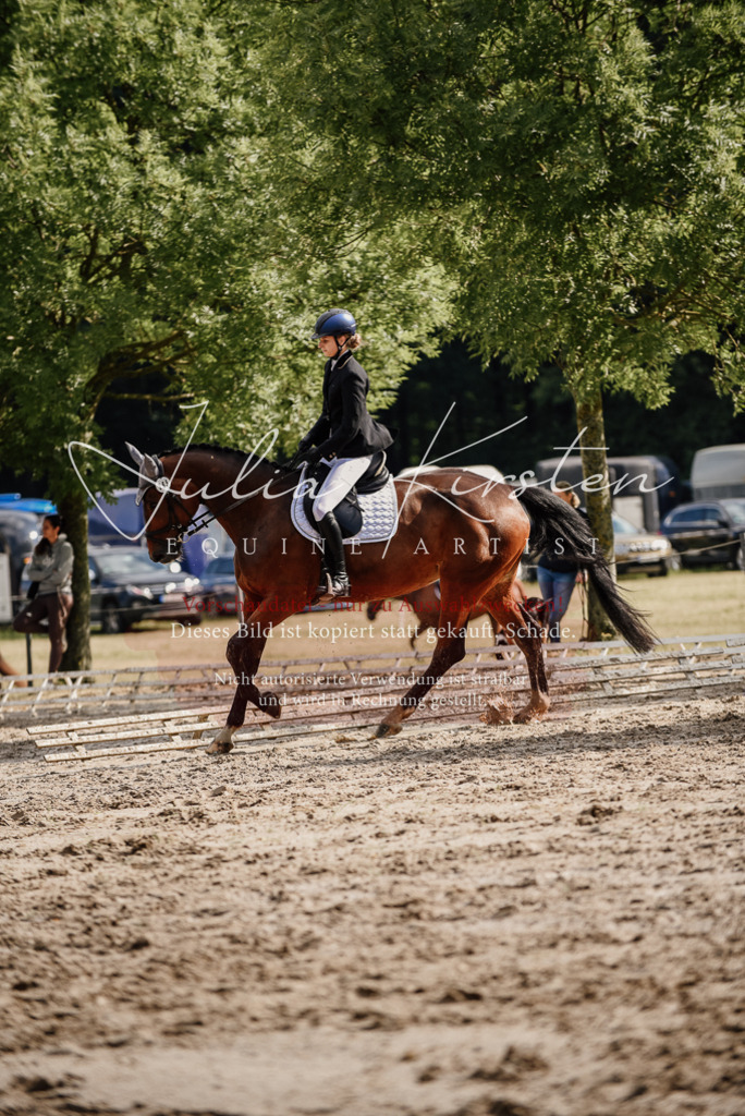 DSC_9068 | Pferde- und Turnierfotografie in Westsachsen. Pferdeportraits, Auftragszeichnungen und intuitive Kunst.