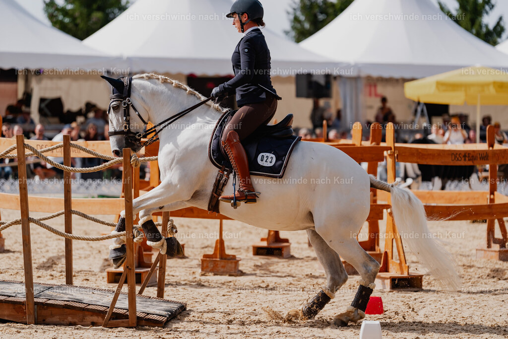 Steffi23_FHC2025-64 | working equitationturnier fotograf videograf stoibphotography marixx film working equitation deutschland reitsport turnierfotografie eventfotografie equestrian events