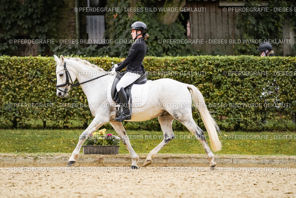 DSC07716 | Pferdegrafie