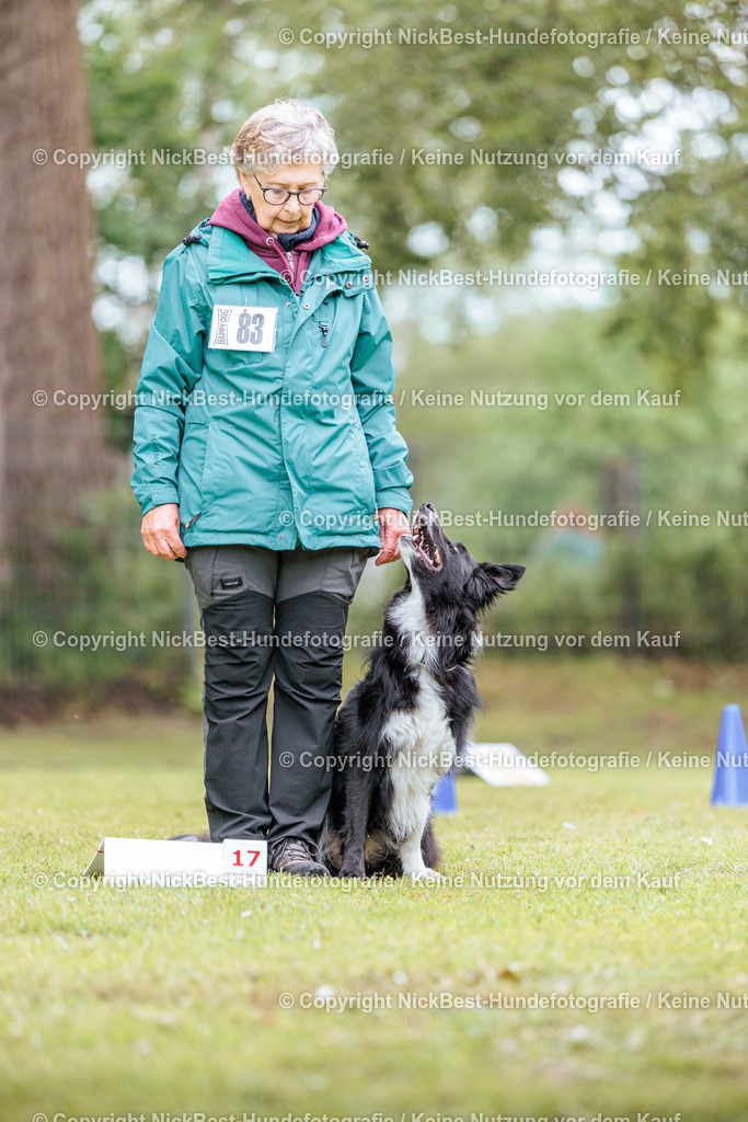 RO-Blumenthal-2026-Nickbest-Hundefotografie-5537 | Dein Hund! Dein Moment! Deine Erinnerungen! Hundefotografie in Bremen Blumenthal. Ich fange die besonderen Momente deines Vierbeiners ein – ob Indoor mit Blitzanlage oder in der freien Natur. Sicher dir dein Moment und dein Termin für eure Erinnerungen.