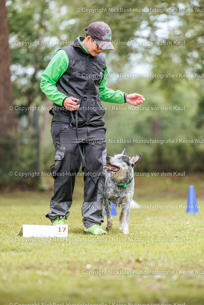 RO-Blumenthal-2026-Nickbest-Hundefotografie-5438 | Dein Hund! Dein Moment! Deine Erinnerungen! Hundefotografie in Bremen Blumenthal. Ich fange die besonderen Momente deines Vierbeiners ein – ob Indoor mit Blitzanlage oder in der freien Natur. Sicher dir dein Moment und dein Termin für eure Erinnerungen.