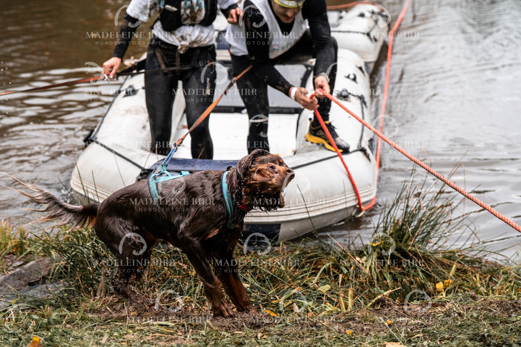 madeleinebirr-fotografie2025.campcanis.Startbis9Uhr-46 | hundefotografie-birr