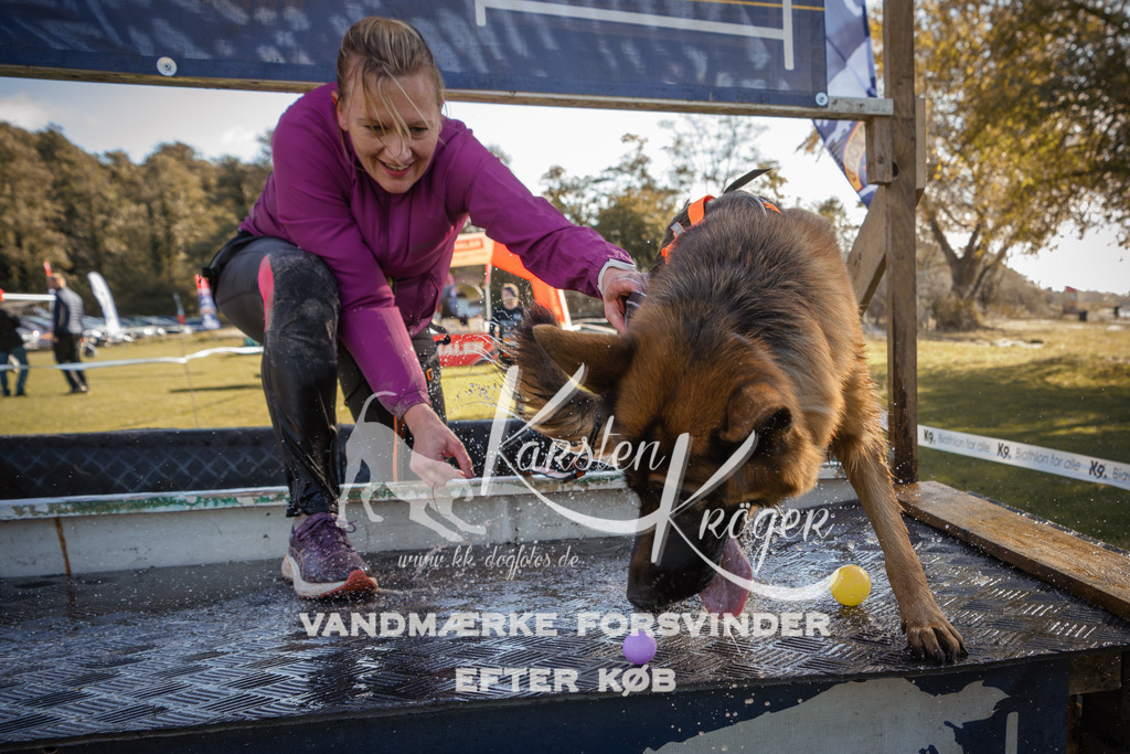 1226_ZZ96314-2 | kk-dogfotos