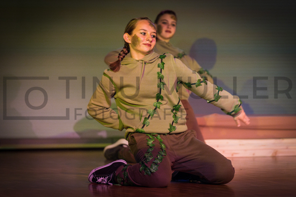 DSC05260-Verbessert-RR | Tinu Müller Fotografie- Bildershop - Realisiert mit Pictrs.com