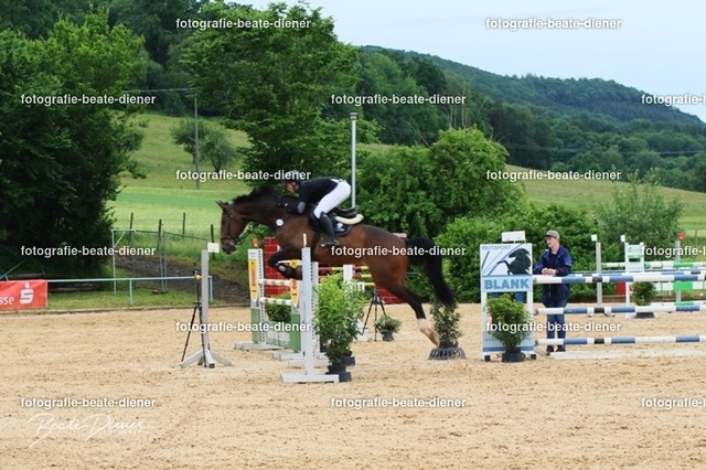 OHT0421 | Fotografie, Tiere, Hunde, Katzen, Pferde, Sportfotografie, Fotosession, Tierfotografie, Turnierfotografie, Fotografin, Fotograf - Realisiert mit Pictrs.com
