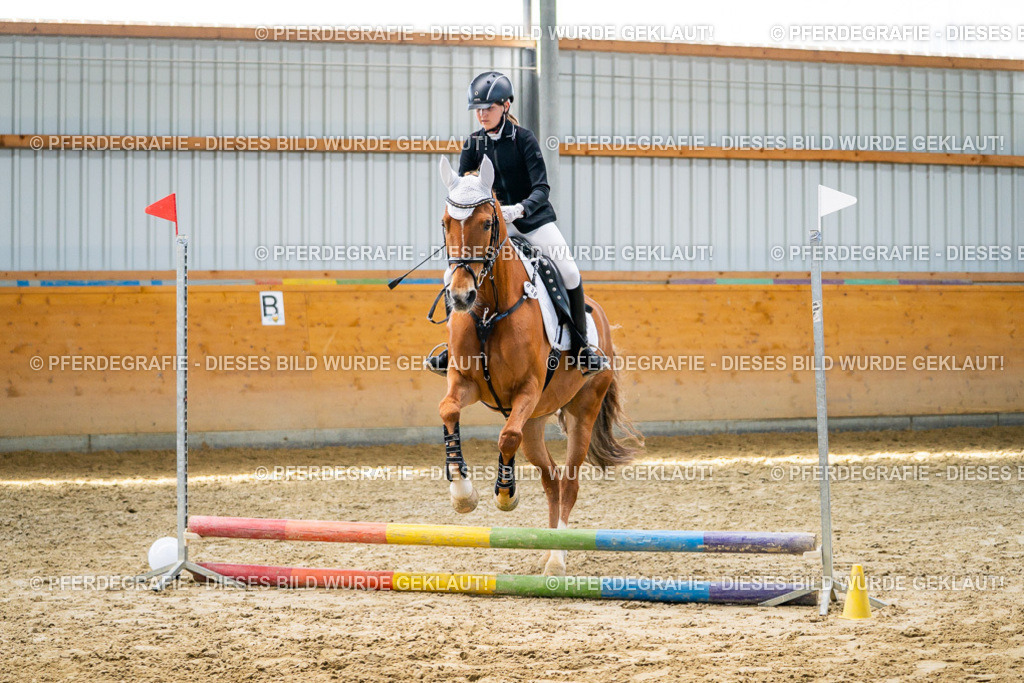 DSC01866 | Pferdegrafie