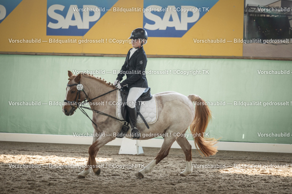 _D5A5622 | Emotionale Pferde- & People-Fotografie rund um Heidelberg, Leimen & Umgebung. Natürliche Fotos von Pferd, Mensch & Familie. Jetzt Termin sichern!