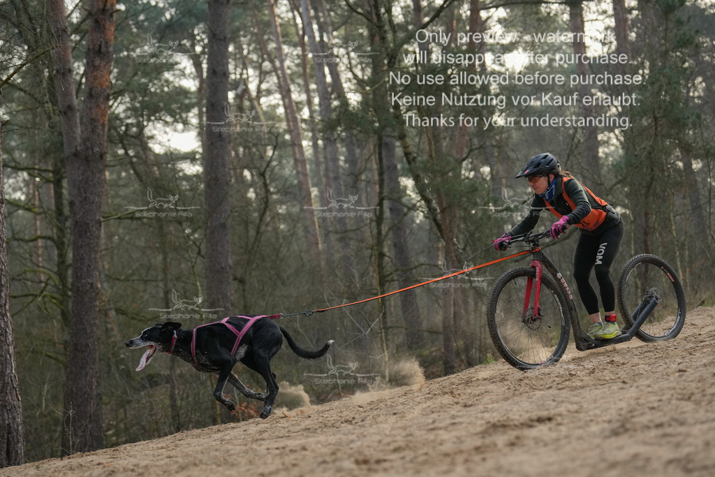 Scooter1-113 | stephaniefillaphotographie - Realisiert mit Pictrs.com