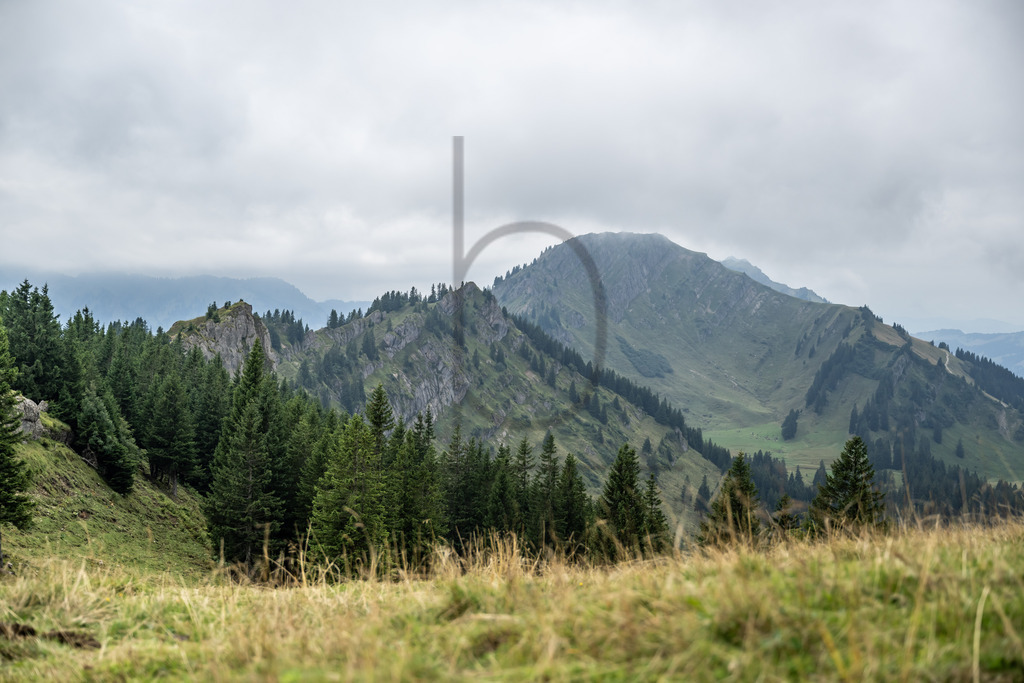 36. Gebirgsmarathon | Immenstadt, 23.08.2025 - 36. Gebirgsmarathon im Naturpark Nagelfluhkette. Einer der anspruchsvollsten​und ältesten Bergläufe​Deutschlands.Foto: Dominik Berchtold/www.dberchtold.com