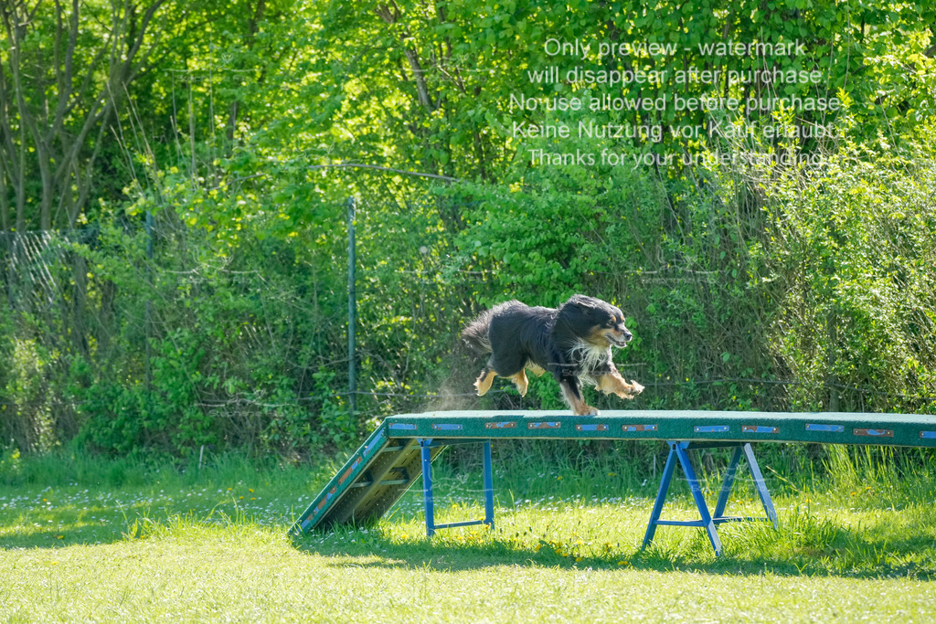 Sa_VK3_03-7 | stephaniefillaphotographie - Realisiert mit Pictrs.com