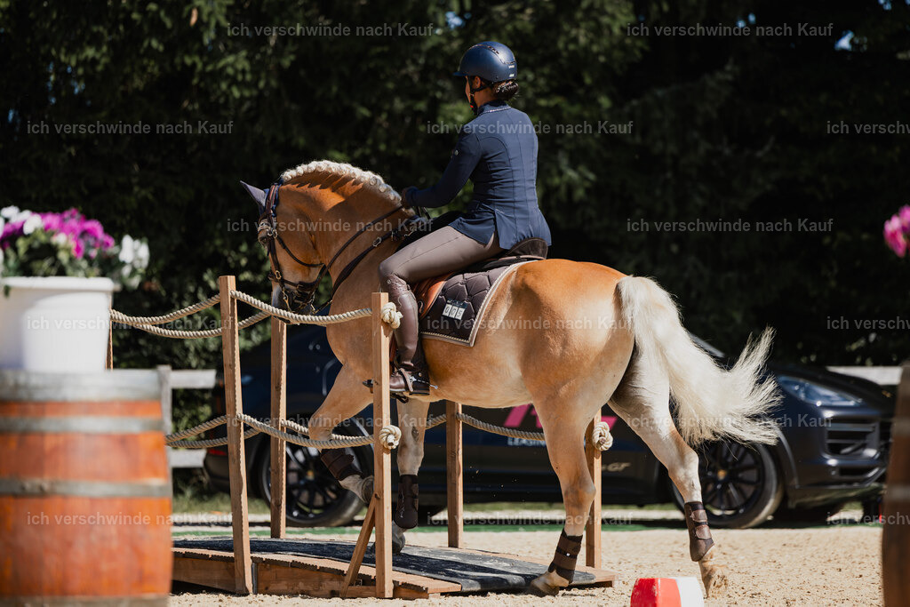Tanesha5FHC2025-27433 | working equitationturnier fotograf videograf stoibphotography marixx film working equitation deutschland reitsport turnierfotografie eventfotografie equestrian events