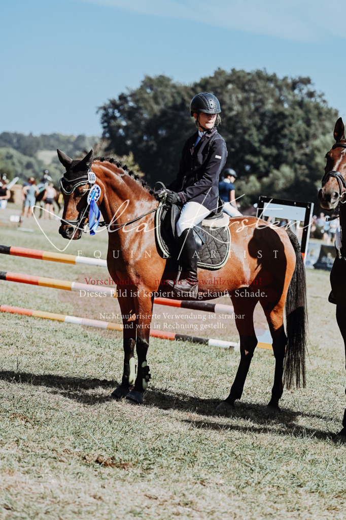 DSC_0126 | Pferde- und Turnierfotografie in Westsachsen. Pferdeportraits, Auftragszeichnungen und intuitive Kunst.