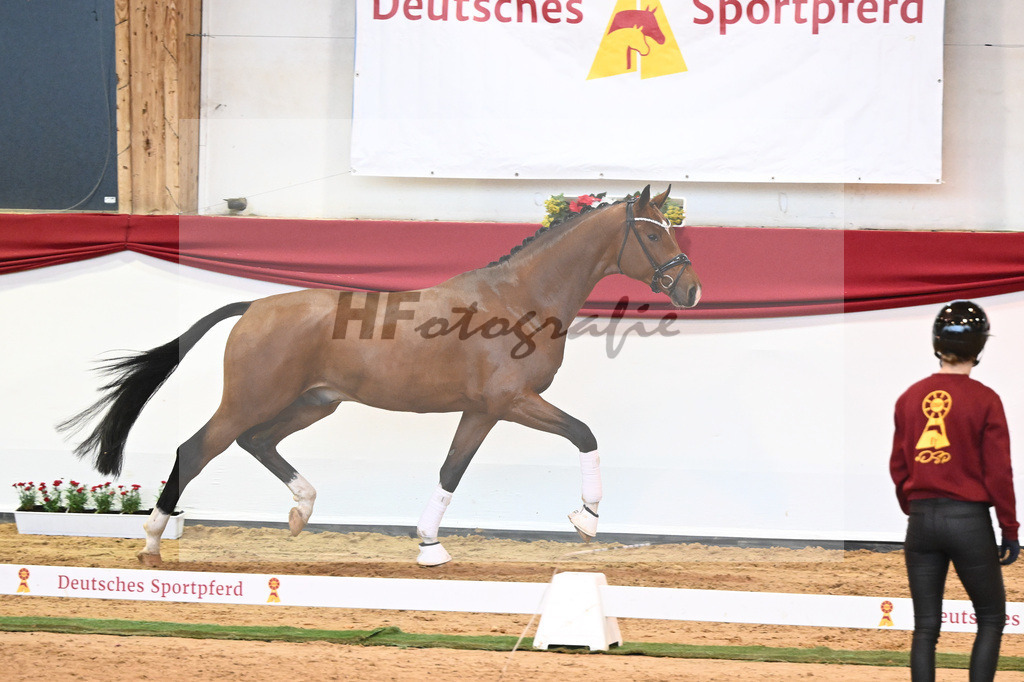 Kat-Nr. 9 Bonds x Hotline_Buergy_43231596 | hf-fotografie - Realisiert mit Pictrs.com