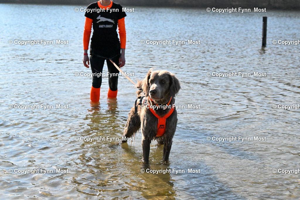DSC_5751 | Hallo und herzlich Willkommen auf meiner Shop-Seite Fynn Most.

Ich wünsche Dir viel Spaß beim stöbern durch die Bilder, wenn Du Fragen hast oder Bilder vermisst, kannst du mir gerne eine Nachricht schreiben. - Realisiert mit Pictrs.com