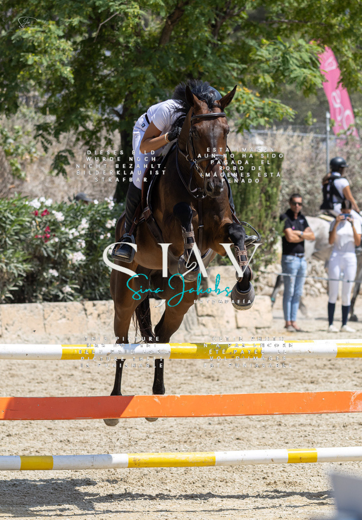 IMG_8055 | s-jay-photography - Realisiert mit Pictrs.com