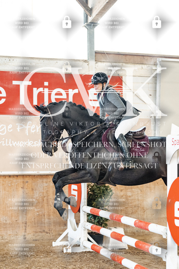 CK904677 | Turnierfotografie Pferdefotografie Trier Rheinland-Pfalz Pferdesport Reitsport Tierfotografie Sportfotografie Pferdevideo Pferdevideografie Equestrianvideography equestrianphotography  - Realized with Pictrs.com
