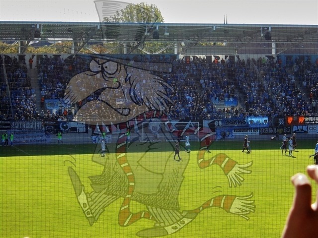 Chemnitzer FC vs. BFC Dynamo 021 | mythos-online-redaktion