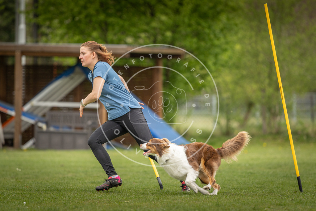 Pfotenfotografie_DV3A0232 | Hundefotografie, Tierfotograf, Pfotenfotografie, Fotoshooting Hund, Hunde Portrait, Hundesport, Hundeportraits, Heideshooting, Hunde, Sportfotograf, Hundefotograf, Turnierhundsport, THS,  - Realisiert mit Pictrs.com