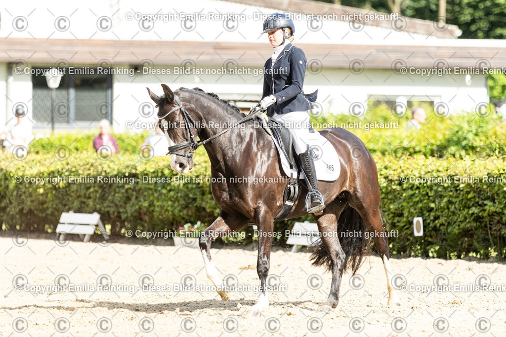 CL5A5966-2 | Emilia Reinking Fotografie - Realisiert mit Pictrs.com