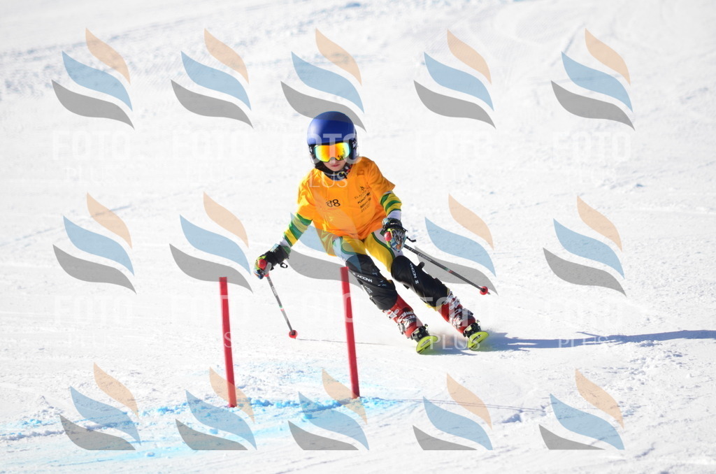 C6046 | holidayphoto