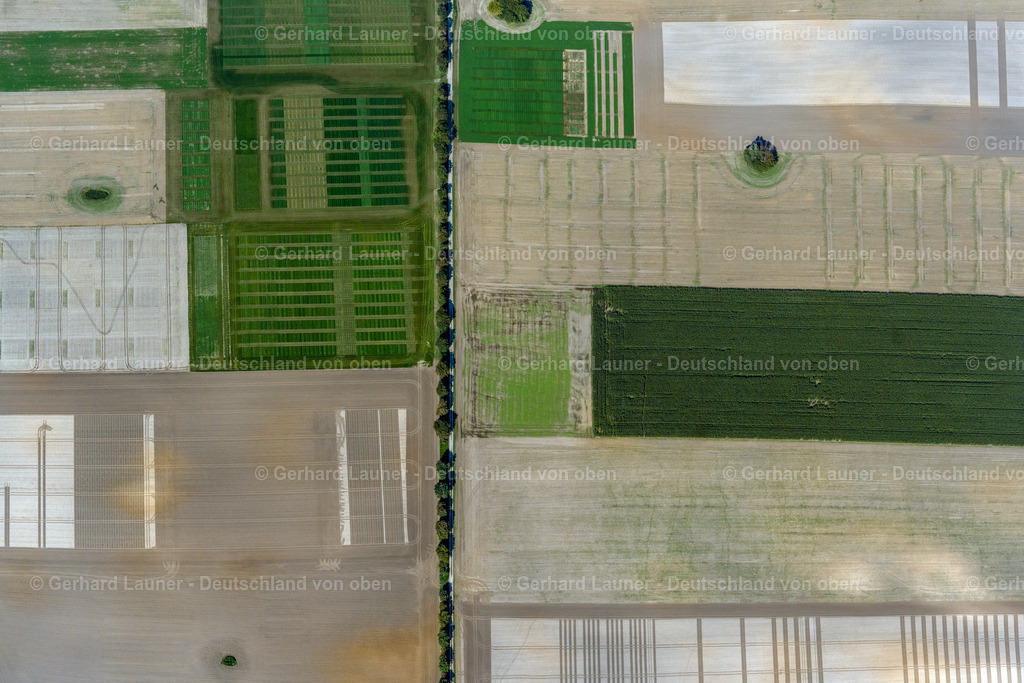 4062154 | INSEL POEL 08.09.2021 Senkrecht- Luftbild aus der Satelliten- Perspektive vom Baum- Insel auf einem bearbeiteten und umgepflügten Feld auf der Insel Poel im Bundesland Mecklenburg-Vorpommern, Deutschland. // Vertical aerial view from the satellite perspective of the island of trees in a worked and plowed up field in island Insel Poel in the state Mecklenburg - Western Pomerania, Germany. Foto: Gerhard Launer