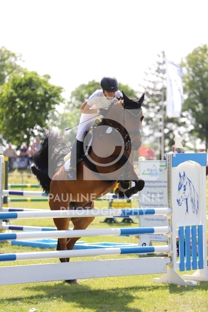 IMG_6513 | Pauline Ullmann Photography - Realisiert mit Pictrs.com