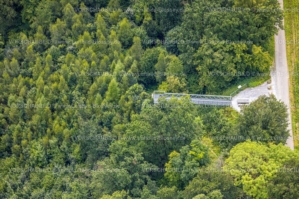 Warstein240712854Allagen | Luftbild, Skywalk Möhnetal am Liethsteilhang, Aussichtsplattform Ölmannsberg Waldgebiet, Allagen, Warstein, Sauerland, Nordrhein-Westfalen, Deutschland