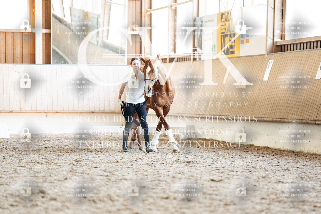 CK907648 | Turnierfotografie Pferdefotografie Trier Rheinland-Pfalz Pferdesport Reitsport Tierfotografie Sportfotografie Pferdevideo Pferdevideografie Equestrianvideography equestrianphotography  - Realisiert mit Pictrs.com