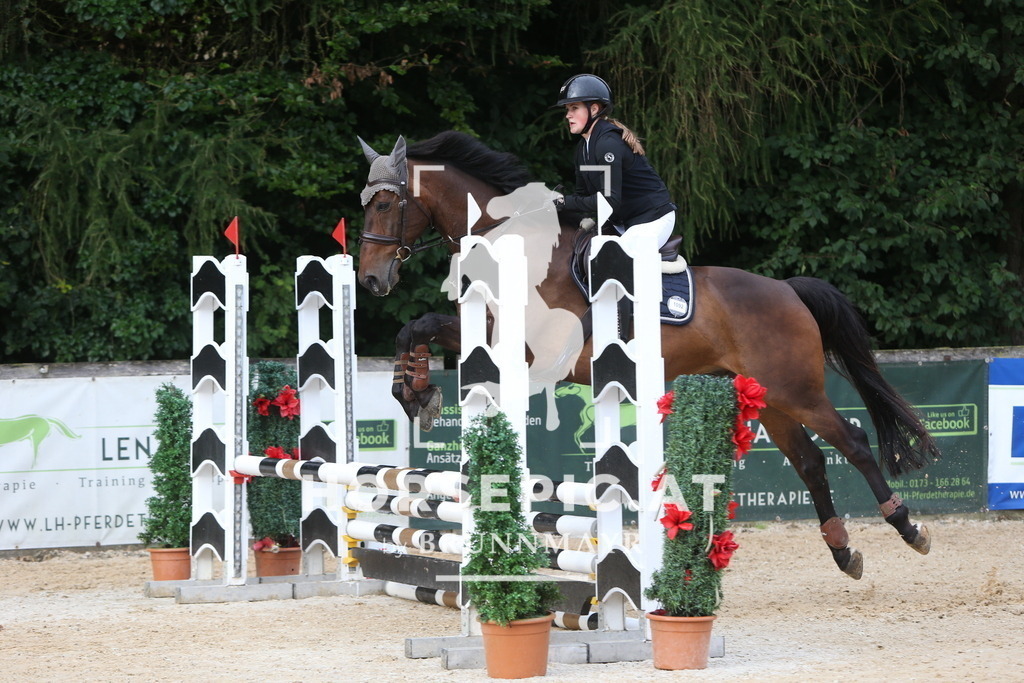 DL2Q0113 | Willkommen bei Brunnmayr - Design & Fotografie – Ihrem Spezialisten für Reitturniere und Pferdeveranstaltungen in Oberösterreich, Salzburg und Bayern! Seit über 17 Jahren sind wir leidenschaftlich dabei.