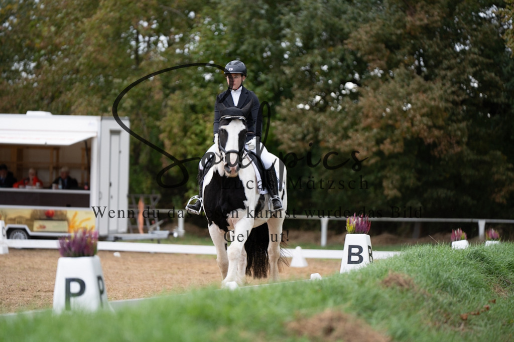 A7V05394 | Pferdefotograf