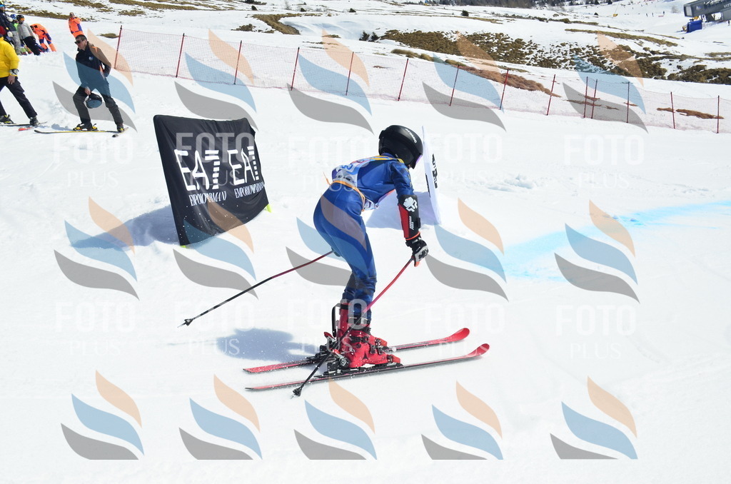 _ELE1260 | holidayphoto