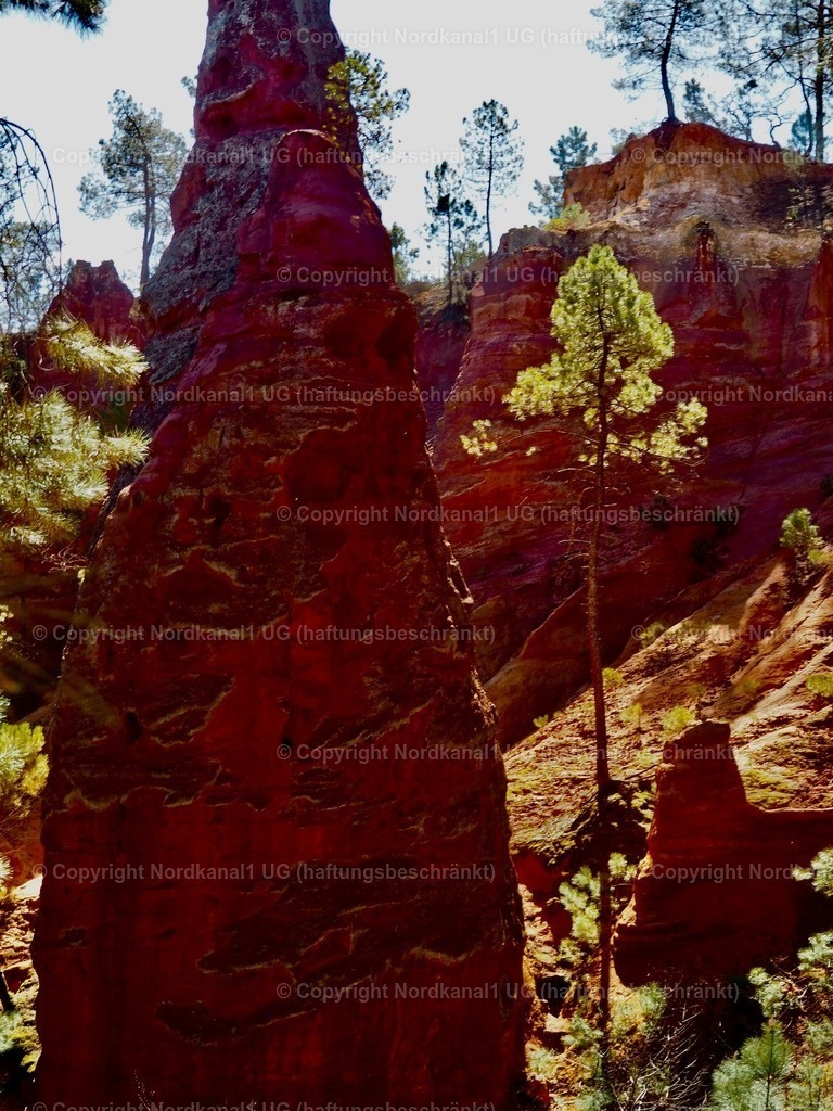 IMG_2927 | OLYMPUS DIGITAL CAMERA          - Realisiert mit Pictrs.com