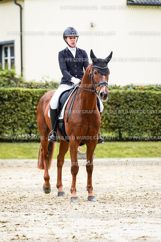 DSC07351 | Pferdegrafie