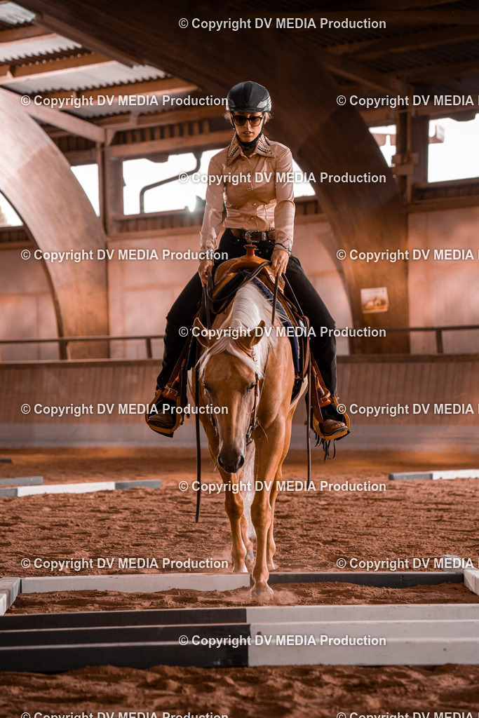 NE300021 | dv-media-shop - Realisiert mit Pictrs.com