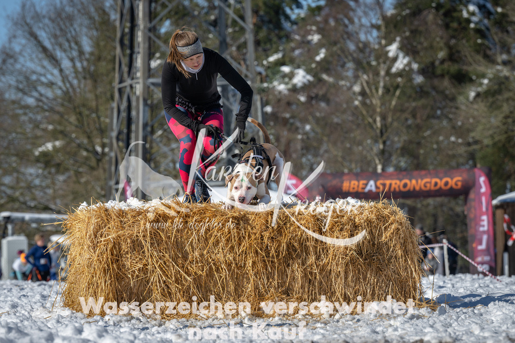 1117_ZZ91259-3 | kk-dogfotos