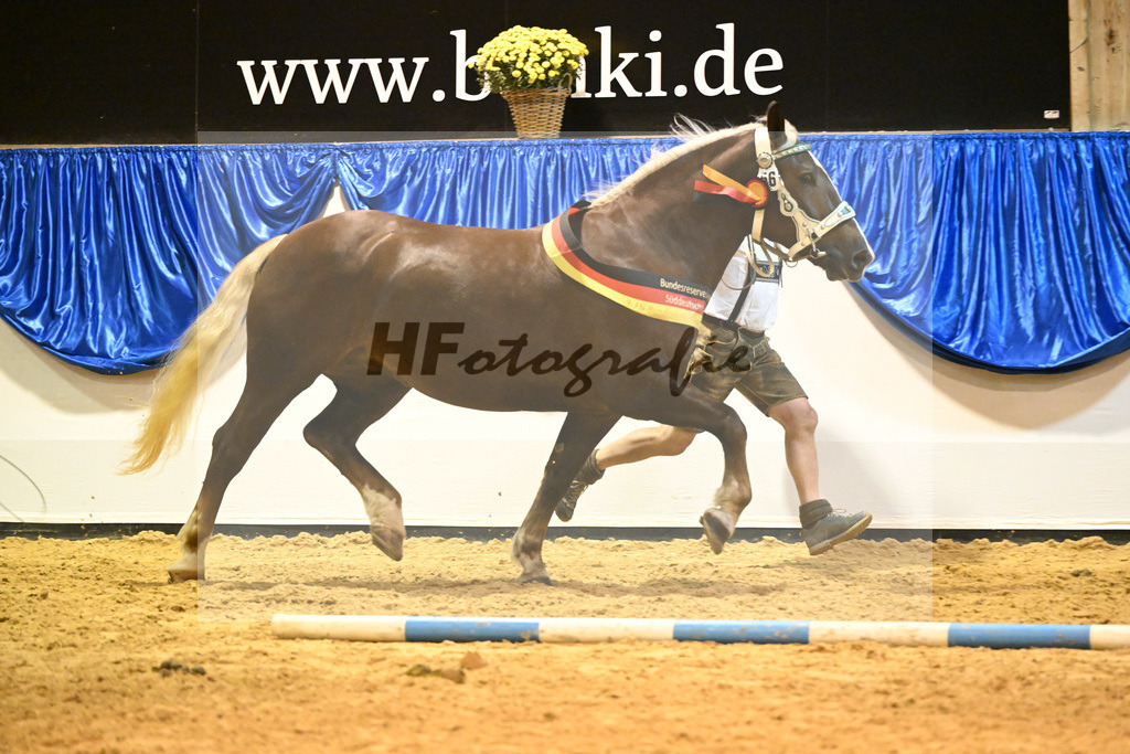 Kat-Nr. 56 Monamour_Buechl_53221353 | hf-fotografie - Realisiert mit Pictrs.com
